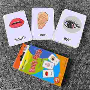 Cartes d'apprentissage des couleurs, des parties du corps, de l'alphabet, des animaux du zoo et des fruits, cartes flash CVC pour la pratique de la prononciation - Product Image 6
