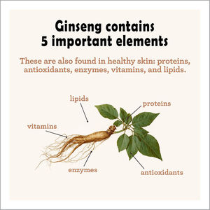 Champú y Gel de Baño 2 en 1 para Bebés de Marca Blanca, 236 ml, Champú Hidratante para Cabeza y Cuerpo - Product Image 2