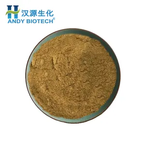 Highly Rated 30% Polysaccharides Pleurotus Eryngii Extract/King oyster mushroom extract powder