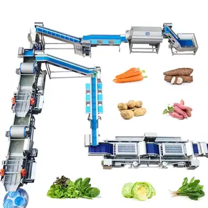 Vegetables and fruits cleaning air drying processing and packaging production line