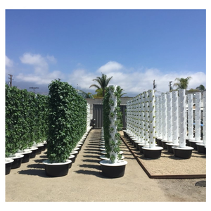 Maison & <span class=keywords><strong>Jardin</strong></span> Tour d'ananas verticale Système de plantation aéroponique hydroponique Systèmes de culture en <span class=keywords><strong>colonne</strong></span> - Product Image 4