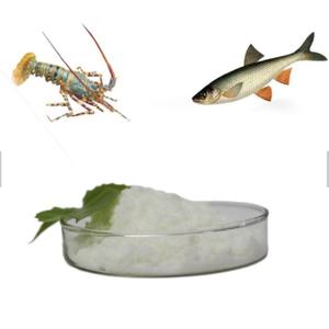 Aditivo alimentador fino iso certificado, pó de sabor de peixe 98% dmt 4727-41-7, indústria de aquacultura de camarão - Product Image 3