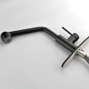 Robinet de cuisine DB à poignée unique avec douchette extractible, en acier inoxydable noir mat, pivotant à 360 degrés, modèle D0100HP99FA - Product Image 6