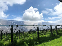Structure de montage solaire au sol en acier robuste pour projets utilitaires avec aménagement de panneaux à hauteur flexible et options de fondation
