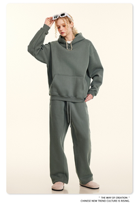 Sudadera con capucha gruesa holgada informal de talla grande de Color sólido de marca de moda de otoño 2025 para mujer Sudadera con capucha con forro polar - Product Image 2