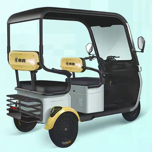 Triciclo Eléctrico para Pasajeros Saige Adulto de 3 Ruedas con Cubierta Completa, Triciclo Eléctrico para Pasajeros - Product Image 2