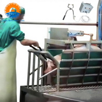 Étourdisseur Électrique Portatif pour Porcs, Certifié CE, en Acier Inoxydable, Équipement d'Étourdissement et d'Abattage pour Abattoir de Porcs