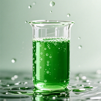 Poudre d'herbe d'orge en marque blanche, poudre de jus d'herbe d'orge, poudre super-alimentaire, fournisseur en gros de poudre d'herbe d'orge