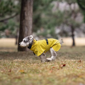 Imperméable classique simple en PU <span class=keywords><strong>pour</strong></span> chien, vêtements <span class=keywords><strong>pour</strong></span> animaux <span class=keywords><strong>de</strong></span> compagnie <span class=keywords><strong>pour</strong></span> teckel, <span class=keywords><strong>whippet</strong></span>, gris, toutes saisons - Product Image 1