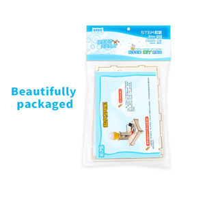 Kit d'expérimentation physique de lampe à énergie salée DIY, batterie au sel, jouets en bois, éducation précoce Montessori - Product Image 5