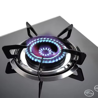 Vente d'usine Cuisinière à gaz intelligente de cuisine Table de cuisson en verre trempé 2 brûleurs Cuisinière à gaz