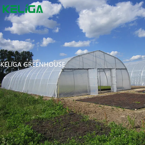 Serra Agricola Monocampata con Telaio Metallico e Copertura in PE, Piccola per Fiori e Piante di Mirtillo, Basso Costo - Product Image 1