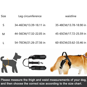 Harnais de levage pour chien, sangle de soutien pour chiens âgés, blessés ou handicapés, soutien des pattes arrière, ceinture réfléchissante, aide à la marche pour animaux de compagnie - Product Image 3