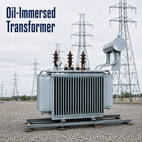 Transformateur de distribution triphasé immergé dans l'huile S11 10KVA 20kVA 25kVA 30kVA 50KVA 6kV 10kV