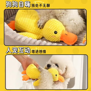 Jouet en peluche pour chien en forme de canard, jouet sonore pour chiens de petite, moyenne et grande taille, pour jouer en intérieur - Product Image 4
