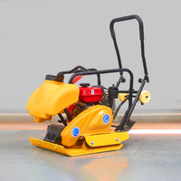 Meilleure qualité livraison gratuite CE EPA moteur à essence moteur portable plaque de terre compacteur compacteur de sol