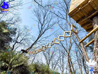 Filet d'escalade en HDPE personnalisé, résistant aux UV, pour aire de jeux extérieure, équipement de parc d'attractions