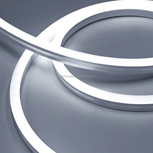 Tira de Luz LED de Silicona a Prueba de Agua IP67, Color Personalizable, DC12V, Recortes de 1cm/2.5cm para Letreros de Neón - Product Image 1