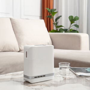 Draagbare Zuurstofconcentrator Batterij Thuis Reizen Plateau Compleet Ph6l Geavanceerde Himidified Core Motor Voor Thuisgebruik! Nu Kopen! - Product Image 1