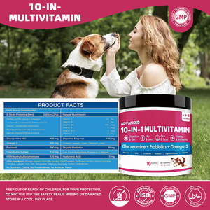 Suplemento Multivitamínico en Polvo 10 en 1 para Mascotas OEM, Apoya la Salud de las Articulaciones, la Piel, el Corazón y el Intestino con Glucosamina y Probióticos para Perros - Product Image 3