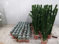 Cactus artificiel en pot en plastique 20x18x36cm pour usage extérieur
