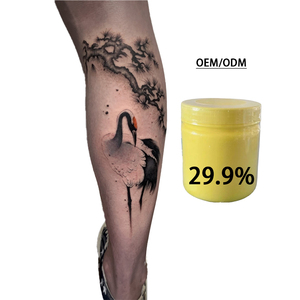 ซัพพลายเออร์อุปกรณ์สักคุณภาพดีที่สุด ครีมสัก 29.9% ผิวฝึกสักและแพ็คเกจสำหรับสตูดิโอเคลือบคิ้ว สีสักถาวร - Product Image 4