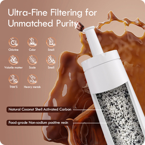 Filtro DE AGUA DE REPUESTO Z074 para máquina de espresso Barista BES880 Barista <span class=keywords><strong>Oracle</strong></span> BES990 <span class=keywords><strong>Oracle</strong></span> BES980 caldera dual BES920 - Product Image 3