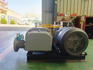 Souffleur à racines industrielles, pompe à air à déplacement positif refroidie par eau pour le traitement des eaux usées, tension 220V - Product Image 6