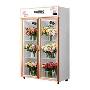 Energia Eficiente Single-Temperature Florista Freezer Frigorífico Ar Direct Cooling Glass Display Elegante Clima Tipo Aprovado - Product Image 3