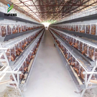 Nouvelles cages à poules de type A, capacité 160 poules pondeuses, 3-4 niveaux, en acier galvanisé, installation facile