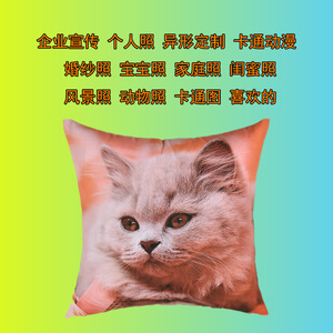 Coussin en peluche personnalisé Baihuase, forme d'animal de dessin animé, rembourrage en coton PP, coussin de canapé de voiture, jouet cadeau - Product Image 3