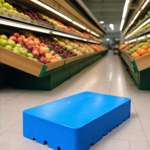 Toka bağlantı tasarımı ile küçük boyutlu plastik tepsi, ev kullanımı, depo ve süpermarket için uygun 500*400*100mm - Product Image 2