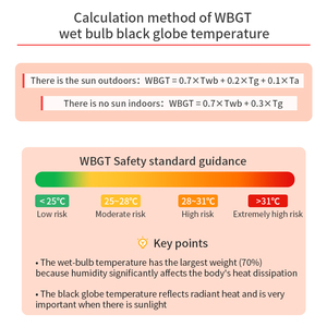 WBGT Warmte-indexmeter Zwarte bal Temperatuur-vochtigheidstester Preventie van zonnesteek - Product Image 3