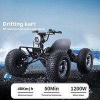 Kart électrique tout-terrain portable avec batterie amovible, buggy de course tout-terrain pour adultes