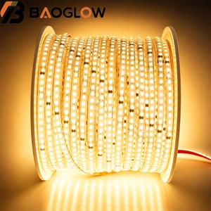 ไฟ LED แถบกันน้ำ IP68 สีวอร์มไวท์ 220V สำหรับตกแต่งวันหยุด คริสต์มาส งานเทศกาล งานแต่งงาน สวน และแคมป์ปิ้ง - Product Image 1