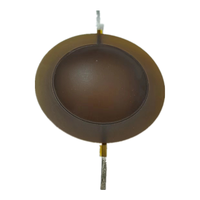 Haute qualité titane 44.4mm klaxon plastique haut-parleur pièces résistant aux hautes températures Phase prise pilote unité accessoires haut-parleurs