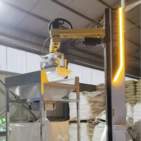 Désengaucheteuse pour Terre de Diatomées (Aide Filtrante), Bras Robotique, 25 kg/sac, 100 Sacs/h, Collecte Automatique des Déchets, PLC, Trémie en Acier Inoxydable