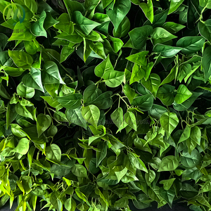 Clôture végétale durable, mur de plantes en herbe, diverses plantes, <span class=keywords><strong>plante</strong></span> artificielle, haie pour décoration verticale intérieure ou extérieure - Product Image 4
