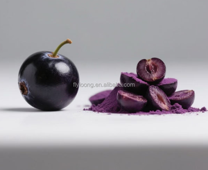 Pó de Fruta de Açaí Orgânico em Alta Venda Aditivo Alimentar Natural Puro - Product Image 6