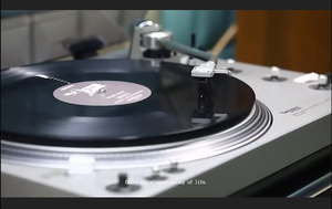 Promotion de musique personnalisée pour lecteur de disque 7 10 12 pouces usine de chine allemagne granulés de <span class=keywords><strong>vinyle</strong></span> <span class=keywords><strong>vinyle</strong></span> noir disque <span class=keywords><strong>vinyle</strong></span> pression - Product Image 4