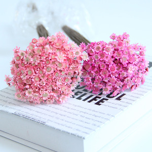 20 pièces de fleurs naturelles éternelles colorées, boules dorées de Craspedia, bouquet pour décoration de mariage - Product Image 5