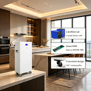 Fuyue 51.2V 280Ah Lityum Pil 15kWh Ev Tipi ESS Yer Tipi Akıllı BMS CE - Product Image 1