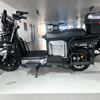 Moto électrique de ville 60V 1000W avec moteur à moyeu de 1000W pour le tourisme