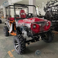 Mini jeep tout-terrain 4x4 à essence de 200cc, 250cc, 300cc fabriqué en Chine, buggy électrique pour adultes, mini jeep, buggy de plage