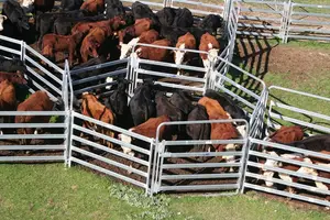 Panel de ovejas galvanizado por inmersión en caliente, panel de patio de granja de ganado de alta resistencia, valla de panel de ganado, venta al por mayor a granel para la venta