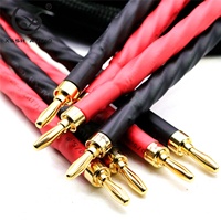 Ligne de connexion de prise banane YIVO XSSH Audio OEM ODM G5 OD 17mm 4 cœurs OFC plaqué argent HIFI amplificateur haut-parleur câble Audio
