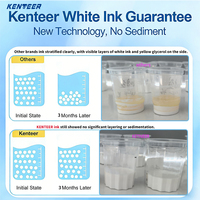 Paket Tinta Fluoresen Ramah Lingkungan Kenteer DTF, Tinta Pigmen Berbasis Air untuk Pencetakan Digital Printer Film Langsung, Bubuk Kocok
