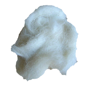 Witte Schapen Wol Fiber