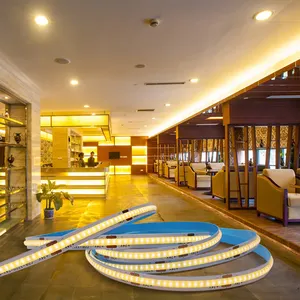 Pro Supplier 2 Years Warrant 360chip/M Ra80 COB Led Strip 24V 12v Water Running 4100K Horse Chasing Led Strip With IC1903