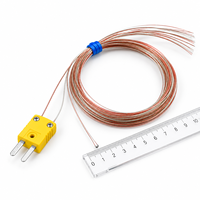 Sonde de température ultra-fine de type T, thermocouple de type K, longueur de sonde 0,5 mm, matériau PTFE, indice de protection IP65, OEM